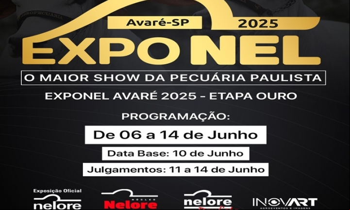Exposição da raça nelore segue até 14 de junho no Parque de Exposições