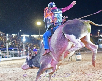 Lei em Avaré reconhece rodeios como patrimônio cultural e prática esportiva